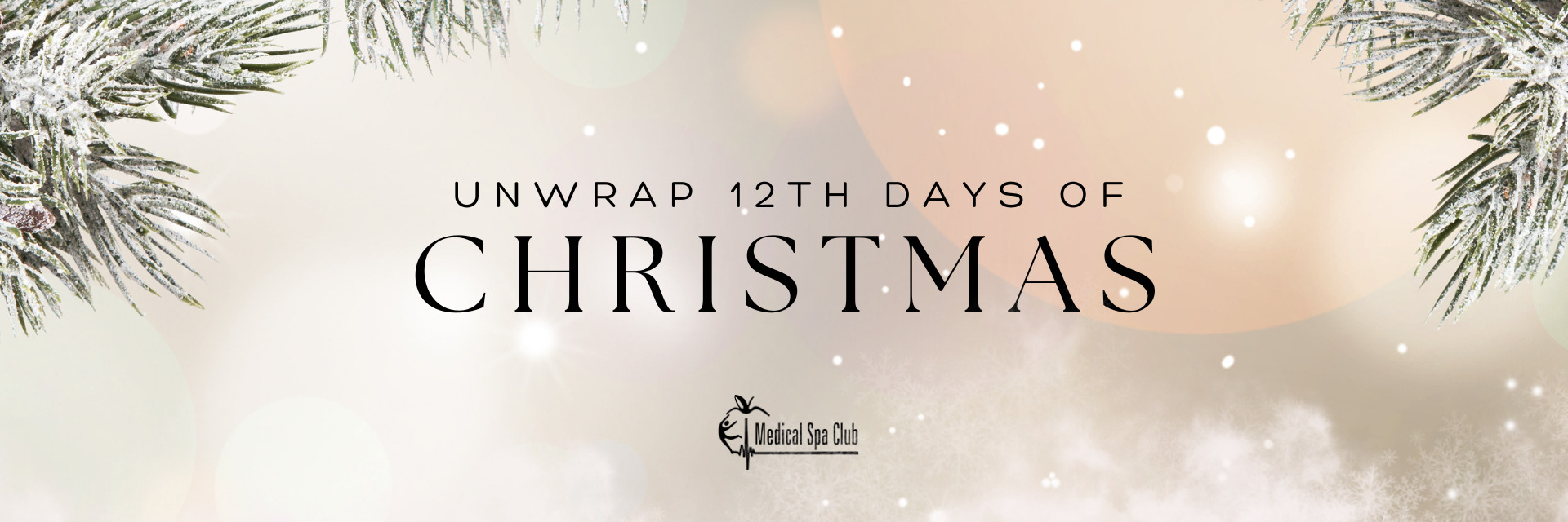 12th days of christmas promo