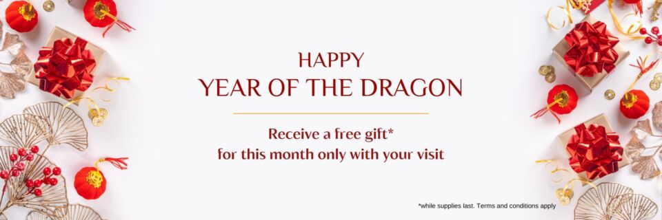CNY 2024 Website Banner